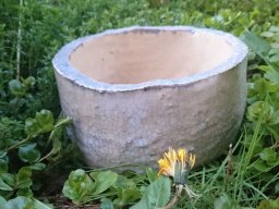 toepfern_004