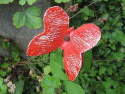 toepfern_023