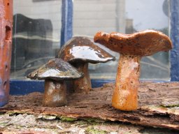 toepfern_026