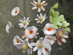 toepfern_042