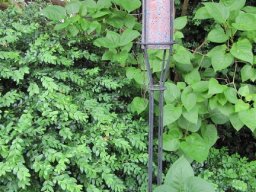toepfern_044