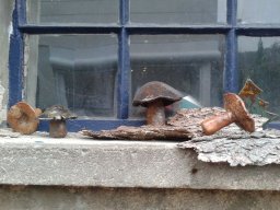 toepfern_047