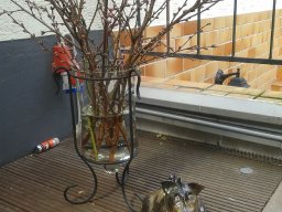 toepfern_058