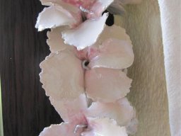 toepfern_059