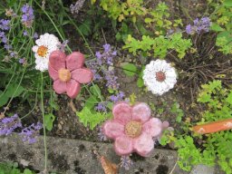 toepfern_060
