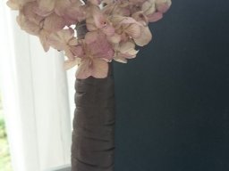 toepfern_061