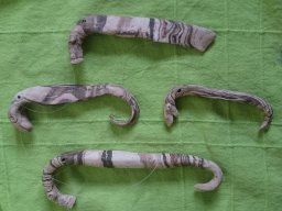 toepfern_075