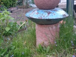 toepfern_082