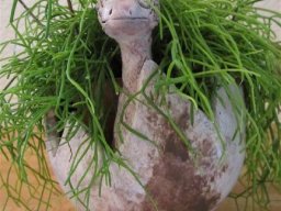 toepfern_083
